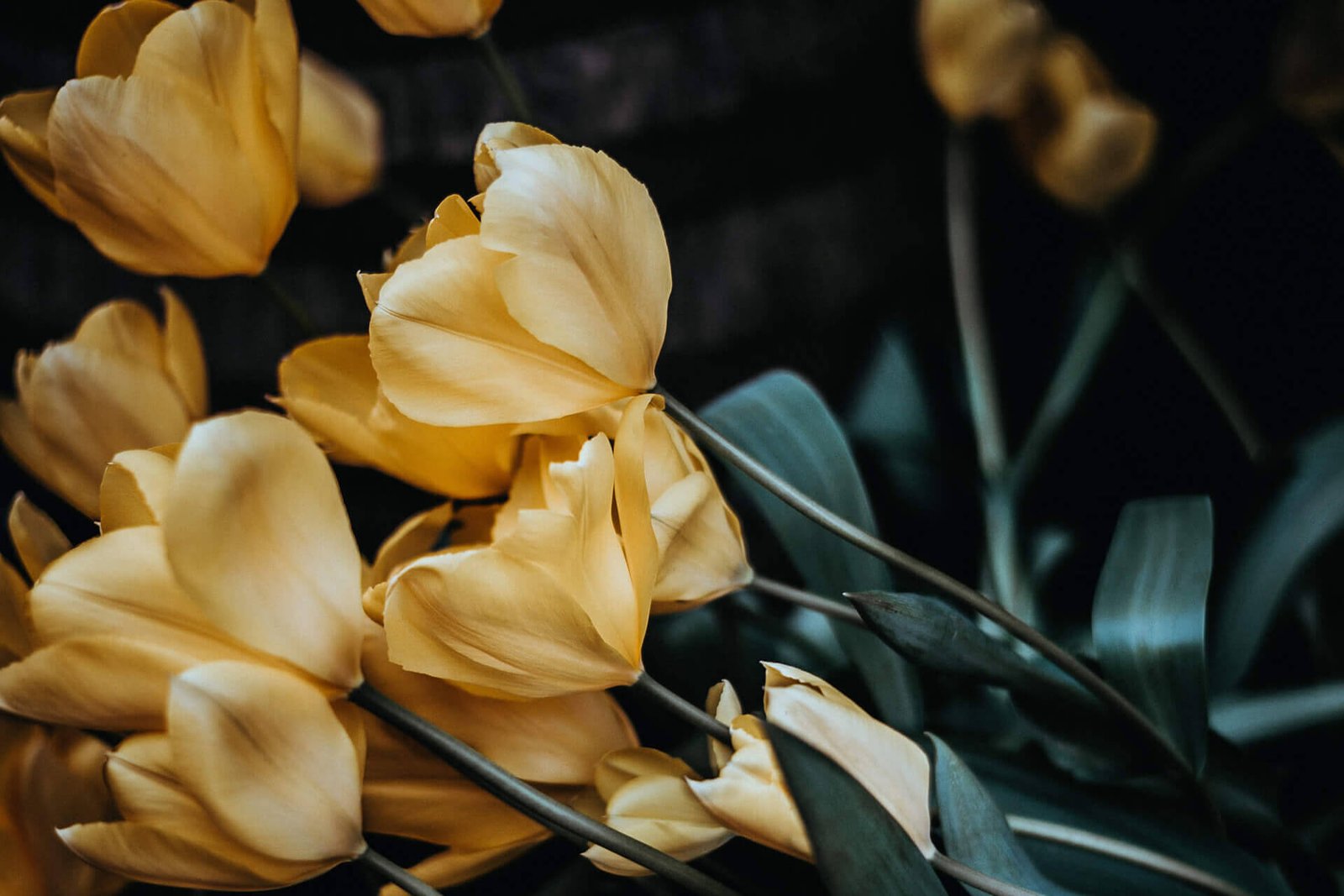 Pruning & Planting